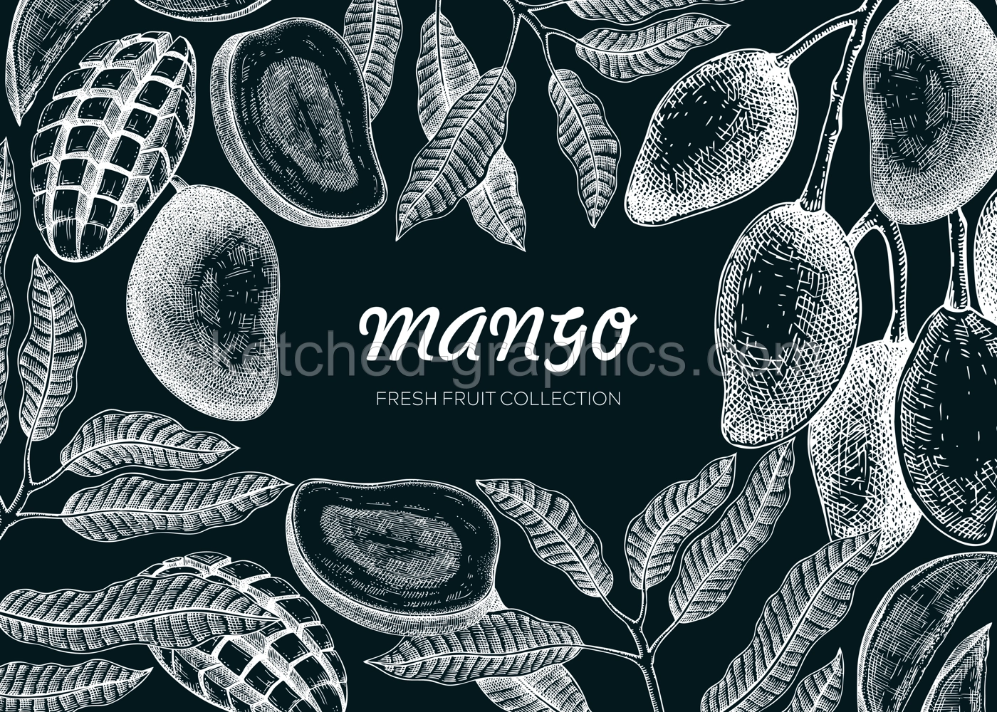 Exotic fruit background. Mango hand-drawn vector illustration on chalkboard. Mango fruit,  tree branches, leaves sketches. Vintage frame, juice packaging, print. Summer design element Illustration